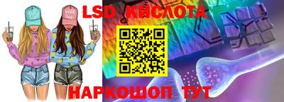 СК Донецк