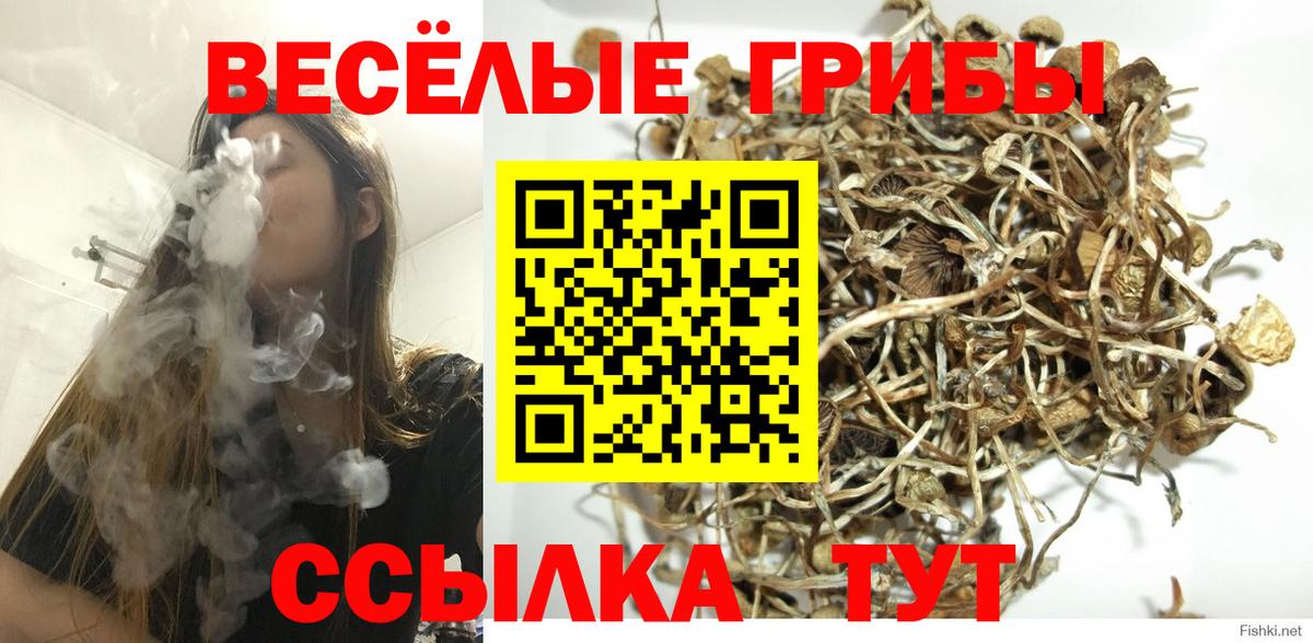 Миллерово  Псилоцибиновые грибы мухоморы  Вход с VPN 